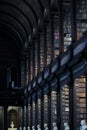 Old Library in Trinity College, Dublin. Sculptures. Royalty Free Stock Photo