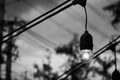 Old light bulb glowing in the dark. Black and white image. Royalty Free Stock Photo