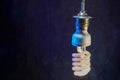 Old lightbulbs in the studio on black background photographed with a flashlight Royalty Free Stock Photo