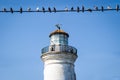 Old lighthouse with birds on wire