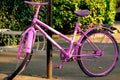 Old lilac bicycle with flat wheels stands in the park Royalty Free Stock Photo