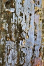 Old Lime Wash Plaster Wall With Cracked Surface Horizontal Empty Grunge Background