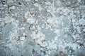 Old limewash wall texture Royalty Free Stock Photo