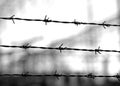 Old lines of barbed wire to demarcate the border Royalty Free Stock Photo