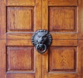 Old lion head knob in the middle of a wooden door divided in squares Royalty Free Stock Photo
