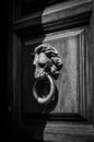 Old lion-head knocher on the wooden door Royalty Free Stock Photo