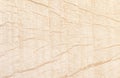 Old lite white wood texture natural pattern background Royalty Free Stock Photo