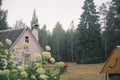 Lithuanian wild trees and village house