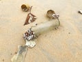 Old littered glass bottle covered with seashells lying on a golden sandy beach Royalty Free Stock Photo