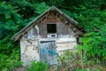 Old little house with a wooden roof. In the forest near green trees. Royalty Free Stock Photo