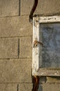 An old little window in the barn. Wooden window frame with glass and lock. The glass window in the barn is broken. The Royalty Free Stock Photo