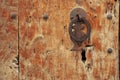 Old lock of a wooden door. Royalty Free Stock Photo