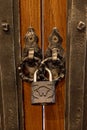 The old lock on a wooden door for print