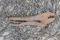 Old Locking Pliers on the nail Royalty Free Stock Photo