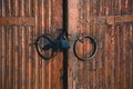 Old locks on the wooden door