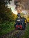 Old locomotiv in Transylvania