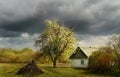 An old log cabin andand flowering fruit trees.. Vintage retro view in the countryside. Ukrainian village.