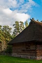 Old log cabin in the wooded forest of evergreen trees. Royalty Free Stock Photo