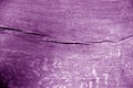 Old log cut macro in purple color Royalty Free Stock Photo