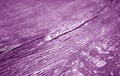 Old log cut macro in purple tone. Royalty Free Stock Photo