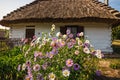 Old log house with thatched roof, traditional rural architecture Royalty Free Stock Photo