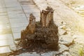 Old log and soil on side street with sunlight