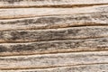 Old log wall, texture of antique wooden logs, close up decor abstraction background Royalty Free Stock Photo