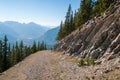 Old logging road near Banff Royalty Free Stock Photo