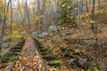 Old Logging Train Tracks on the Blue Ridge Parkway Royalty Free Stock Photo