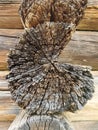 Old logs in section, corner of the hut, small plan Royalty Free Stock Photo