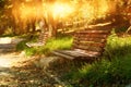 Old lonely bench in the quiet park at sunset light Royalty Free Stock Photo