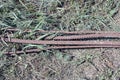 Old long rusty brown iron rods of rebar Royalty Free Stock Photo