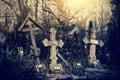 The old lop-sided sepulchral crosses at the cemetery Royalty Free Stock Photo