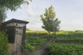 The old lop-sided toilet in far village