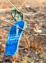 Old lost and discarded flip-flop sandals hanging in branches of seaside trees.