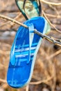 Old lost and discarded flip-flop sandals hanging in branches of seaside trees.