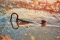 An old lost key in the sand is a newfound opportunity. The concept of success, luck and unexpected wealth