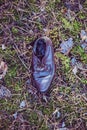 Old lost single shoe in the pine forest Royalty Free Stock Photo