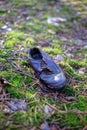 Old lost single shoe in the pine forest Royalty Free Stock Photo