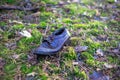 Old lost single shoe in the pine forest Royalty Free Stock Photo