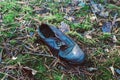 Old lost single shoe in the pine forest Royalty Free Stock Photo