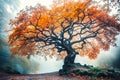 Old magic tree with big branches and orange leaves in blue fog. Royalty Free Stock Photo