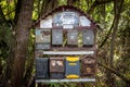 Old mailboxes against trees on the background in autumn Royalty Free Stock Photo