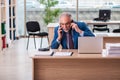 Old male boss employee working in the office Royalty Free Stock Photo