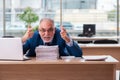 Old male boss employee working in the office Royalty Free Stock Photo
