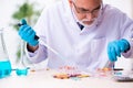 Old male chemist working in the lab Royalty Free Stock Photo