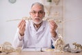 Old male paleontologist examining ancient animals at lab
