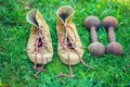 Old male sports footwear and iron dumbbells