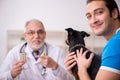 Old male vet doctor examining dog in the clinic Royalty Free Stock Photo