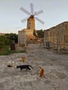 Old Maltese Windmill Royalty Free Stock Photo